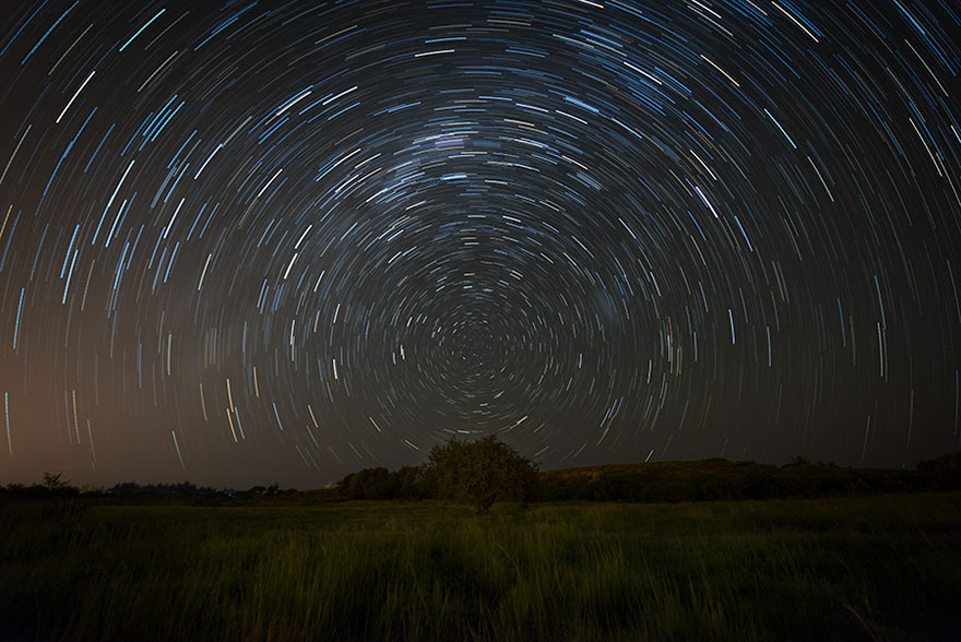Young: 'The South Way' By Alice Fock Hang