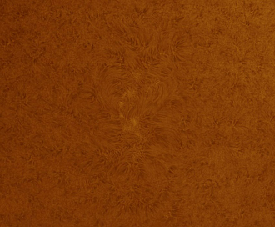 Young: 'The Sun' By Victoria Williamson