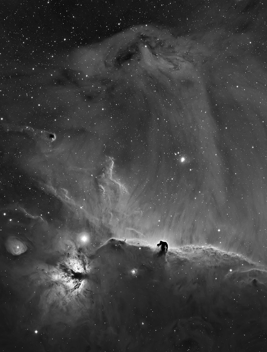 Stars And Nebulae Runner-Up: 'A Horsehead Curtain Call' By Bob Franke