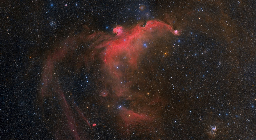 Stars And Nebulae: 'The Stellar Gull' By Raul Villaverde Fraile