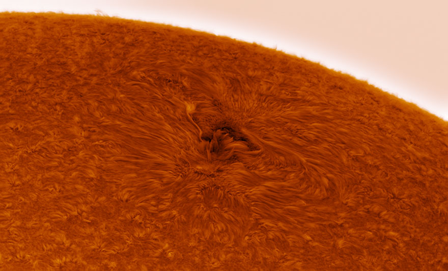 Our Sun: 'Active Region 12706 Appearing Over Eastern Solar Limb' By Stuart Green