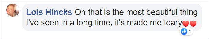 Owner Finds A Baby Possum Clinging On To Her Dog's Back