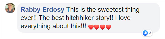 Owner Finds A Baby Possum Clinging On To Her Dog's Back