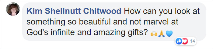 Woman Finds An Incredible Bug That Looks Like A Walking Flower Woman Finds An Incredible Bug That Looks Like A Walking Flower