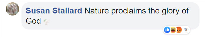 Woman Finds An Incredible Bug That Looks Like A Walking Flower Woman Finds An Incredible Bug That Looks Like A Walking Flower