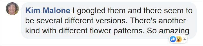 Woman Finds An Incredible Bug That Looks Like A Walking Flower Woman Finds An Incredible Bug That Looks Like A Walking Flower