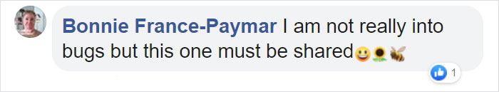 Woman Finds An Incredible Bug That Looks Like A Walking Flower