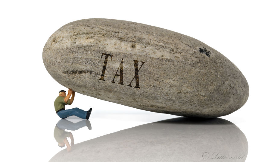 A New Serie Of Little World