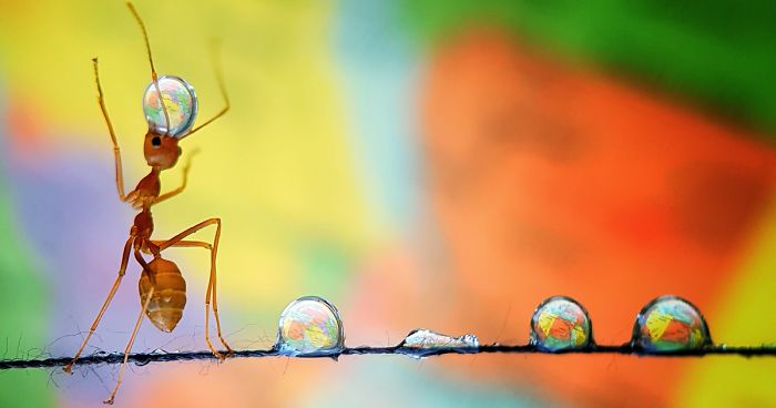 After 9 Months Of Competition And More Than 130,000 Submissions, Here Are The Most Breathtaking Pics Taken This Year (50 Pics)