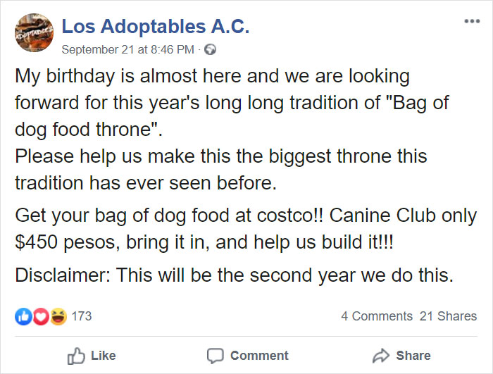 Animal Shelter Employee Asks People To Donate Dog Food For Her Birthday, Builds A Giant Throne Out Of It