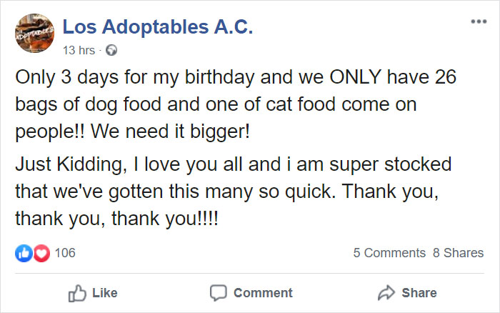 Animal Shelter Employee Asks People To Donate Dog Food For Her Birthday, Builds A Giant Throne Out Of It