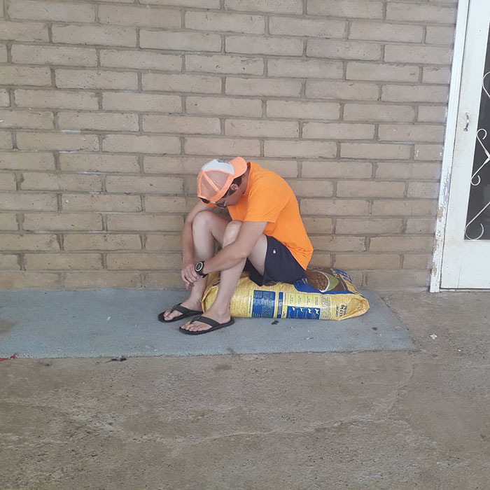 Animal Shelter Employee Asks People To Donate Dog Food For Her Birthday, Builds A Giant Throne Out Of It