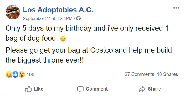 Animal Shelter Employee Asks People To Donate Dog Food For Her Birthday, Builds A Giant Throne Out Of It