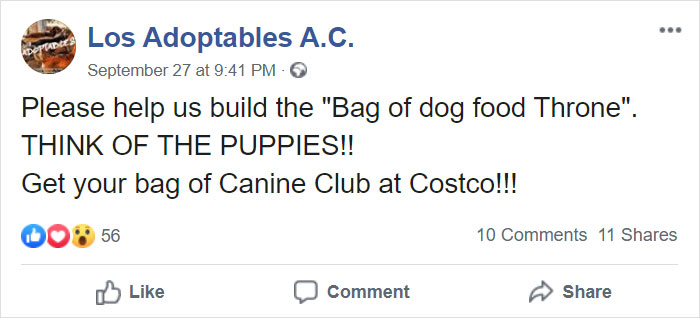 Animal Shelter Employee Asks People To Donate Dog Food For Her Birthday, Builds A Giant Throne Out Of It