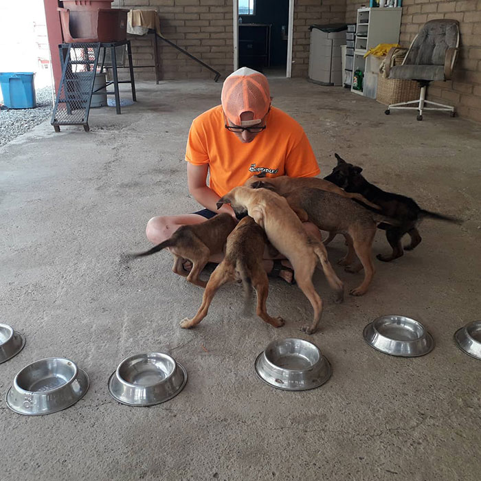 Animal Shelter Employee Asks People To Donate Dog Food For Her Birthday, Builds A Giant Throne Out Of It