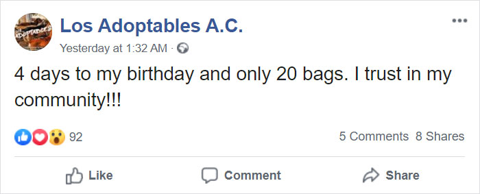 Animal Shelter Employee Asks People To Donate Dog Food For Her Birthday, Builds A Giant Throne Out Of It