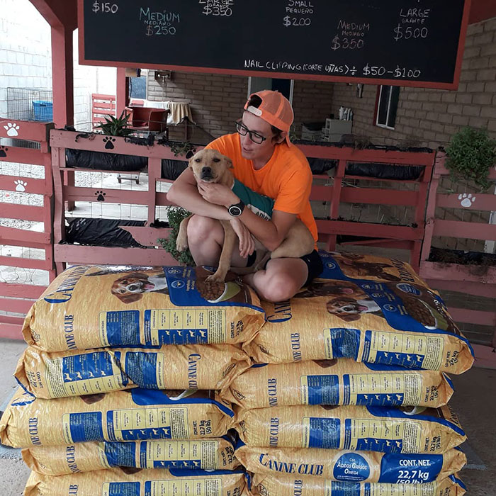 Animal Shelter Employee Asks People To Donate Dog Food For Her Birthday, Builds A Giant Throne Out Of It