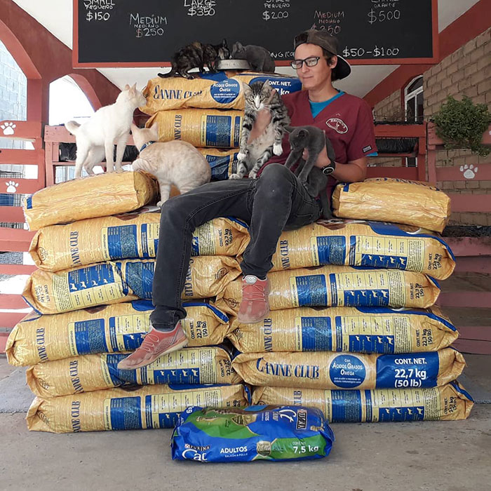 Animal Shelter Employee Asks People To Donate Dog Food For Her Birthday, Builds A Giant Throne Out Of It