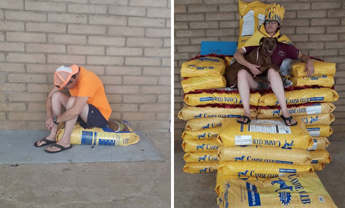 Animal Shelter Employee Asks People To Donate Dog Food For Her Birthday, Builds A Giant Throne Out Of It