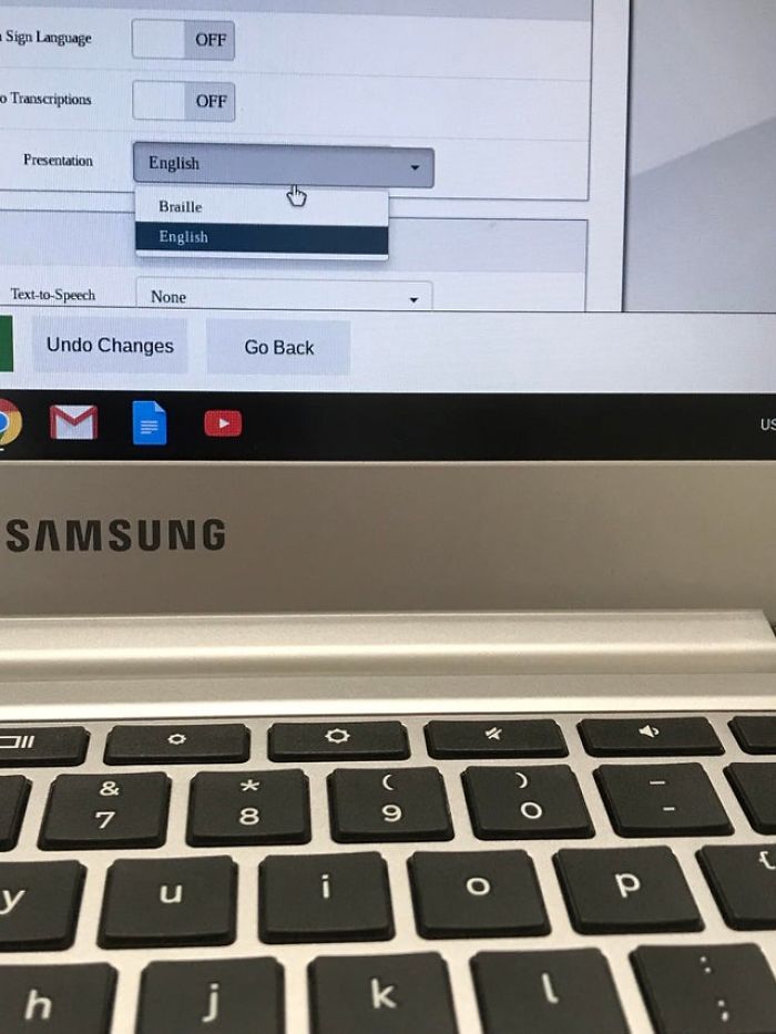 The English Caasp (A Standardized Test) Practice Test Has Braille As An Option