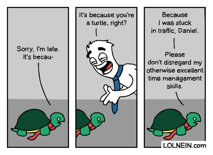 Happy World Turtle Day