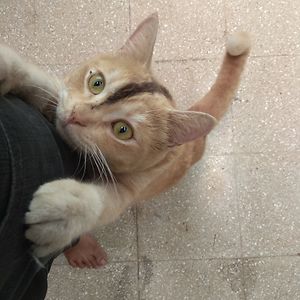 caeciliarisanti avatar