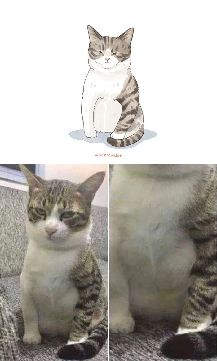 Digital-Watercolor-Cat-Paintings-Watercatlor