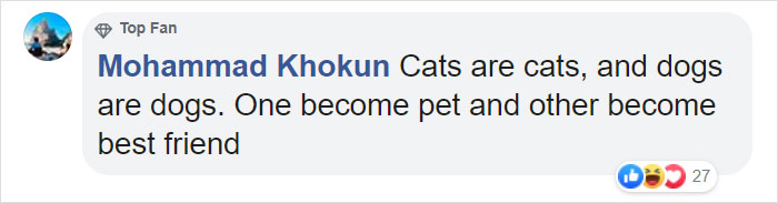 Turns Out Cats Bond With Their Owners In The Same Way Children Bond With Parents