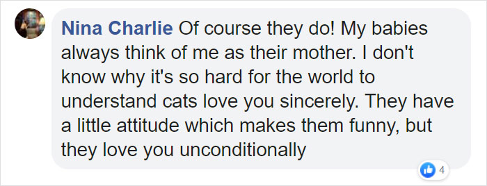 Turns Out Cats Bond With Their Owners In The Same Way Children Bond With Parents