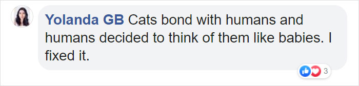 Turns Out Cats Bond With Their Owners In The Same Way Children Bond With Parents