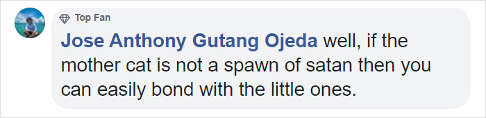 Turns Out Cats Bond With Their Owners In The Same Way Children Bond With Parents