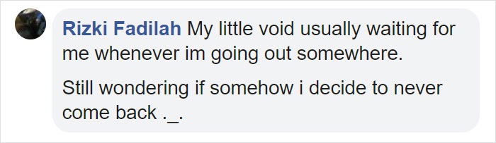 Turns Out Cats Bond With Their Owners In The Same Way Children Bond With Parents