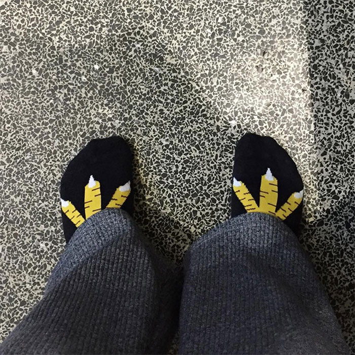 Chicken Leg Socks Are A Thing And They Look Hilarious (19 Pics) Chicken Leg Socks Are A Thing And They Look Hilarious (19 Pics)