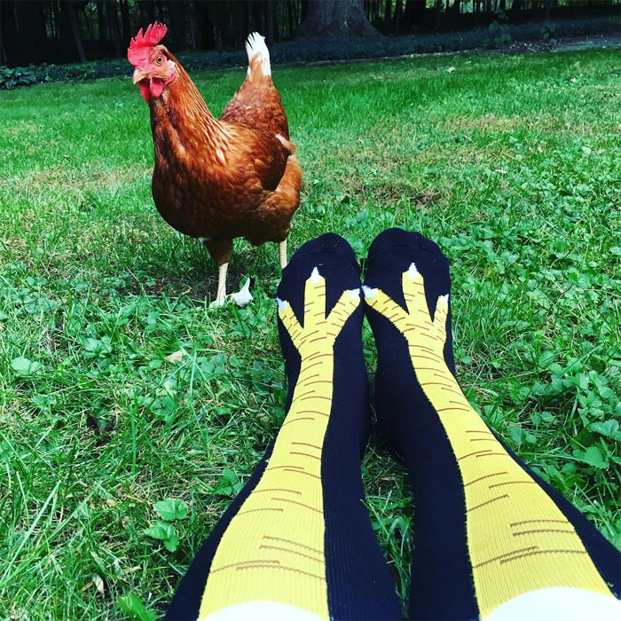 Chicken Leg Socks Are A Thing And They Look Hilarious (19 Pics) Chicken Leg Socks Are A Thing And They Look Hilarious (19 Pics)