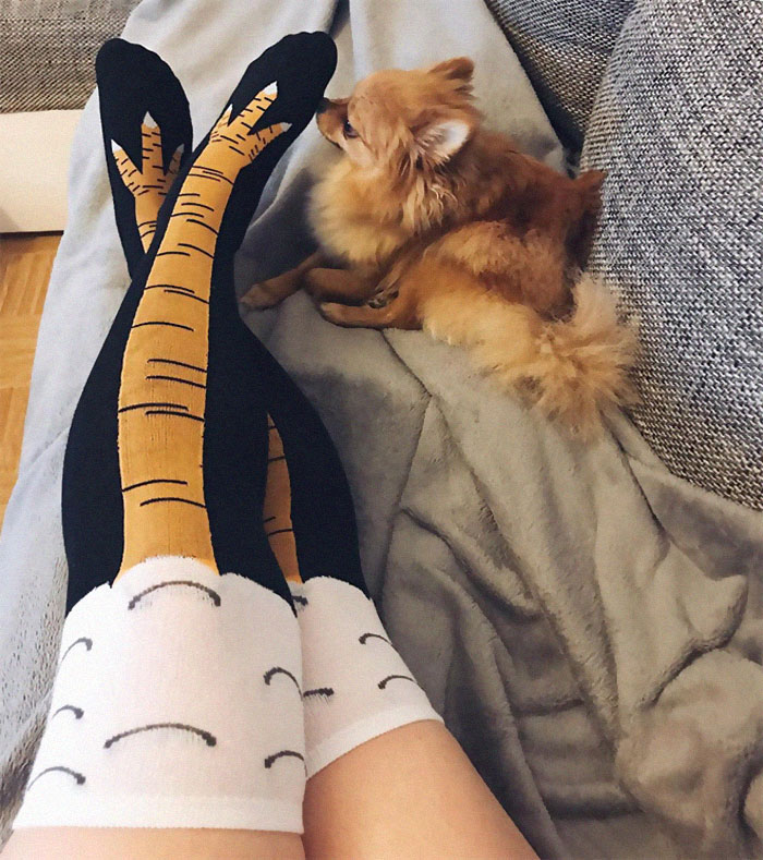 Chicken Leg Socks Are A Thing And They Look Hilarious (19 Pics) Chicken Leg Socks Are A Thing And They Look Hilarious (19 Pics)