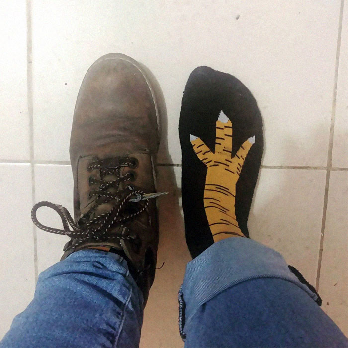 Chicken Leg Socks Are A Thing And They Look Hilarious (19 Pics) Chicken Leg Socks Are A Thing And They Look Hilarious (19 Pics)