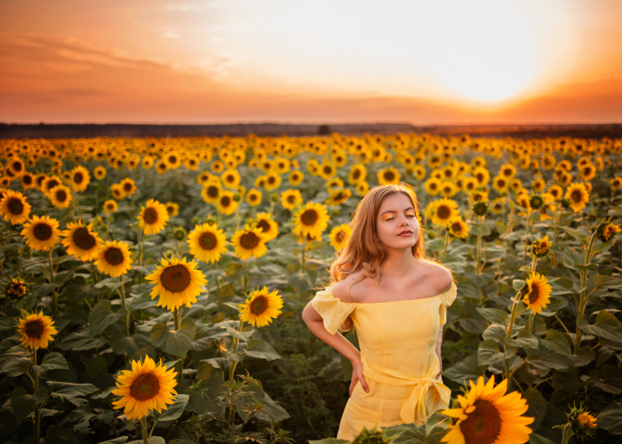 I Create This Dreamy Portraits Inspired By Van Gogh’s Sunflowers