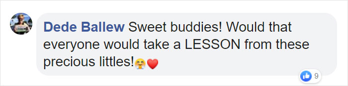 Toddler Best Friends Hug Like They Haven't Seen Each Other For Years When It's Actually Just Been 2 Days Toddler Best Friends Hug Like They Haven't Seen Each Other For Years When It's Actually Just Been 2 Days