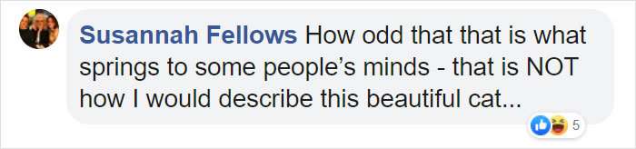 This Cat Can't Get A Home Because Of Her Facial Markings