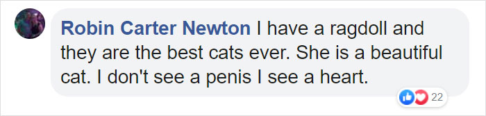 This Cat Can't Get A Home Because Of Her Facial Markings