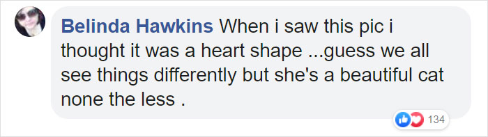 This Cat Can't Get A Home Because Of Her Facial Markings This Cat Can't Get A Home Because Of Her Facial Markings