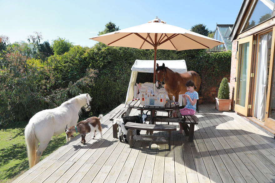 Meet Our Animals Who Help Special Needs Children In Ways That We, Humans, Struggle To Meet Our Animals Who Help Special Needs Children In Ways That We, Humans, Struggle To