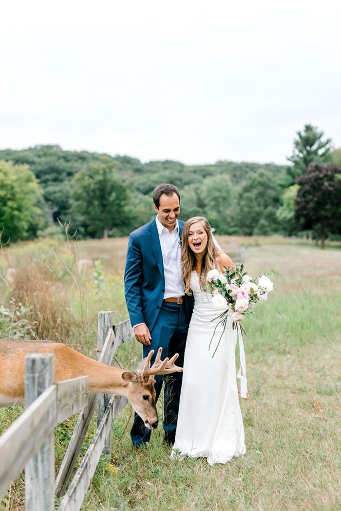 Wedding Photo Shoot Gets Interrupted By A Deer, Results In 15 Funny And Adorable Pictures