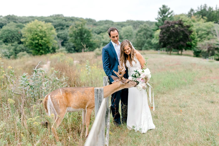Wedding Photo Shoot Gets Interrupted By A Deer, Results In 15 Funny And Adorable Pictures