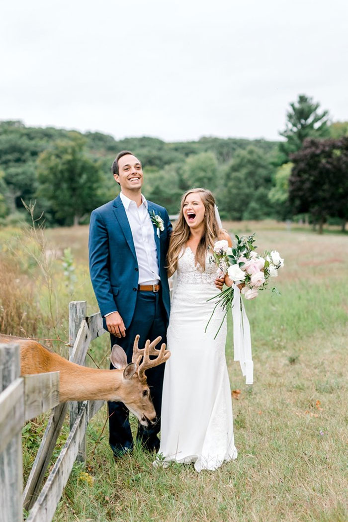 Wedding Photo Shoot Gets Interrupted By A Deer, Results In 15 Funny And Adorable Pictures