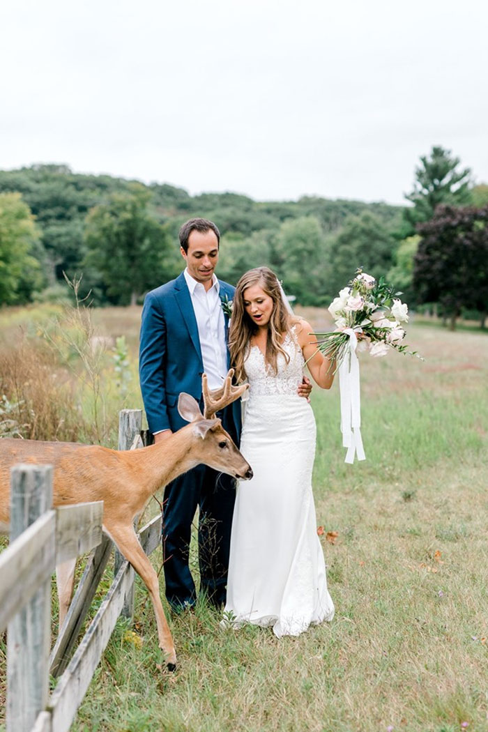 Wedding Photo Shoot Gets Interrupted By A Deer, Results In 15 Funny And Adorable Pictures Wedding Photo Shoot Gets Interrupted By A Deer, Results In 15 Funny And Adorable Pictures
