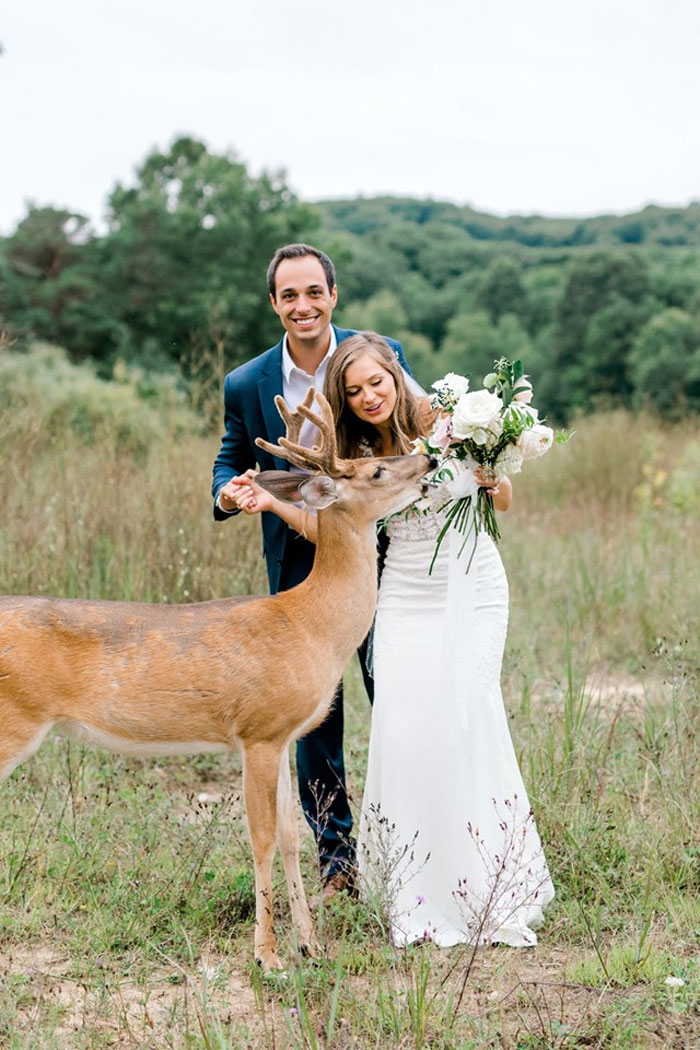 Wedding Photo Shoot Gets Interrupted By A Deer, Results In 15 Funny And Adorable Pictures