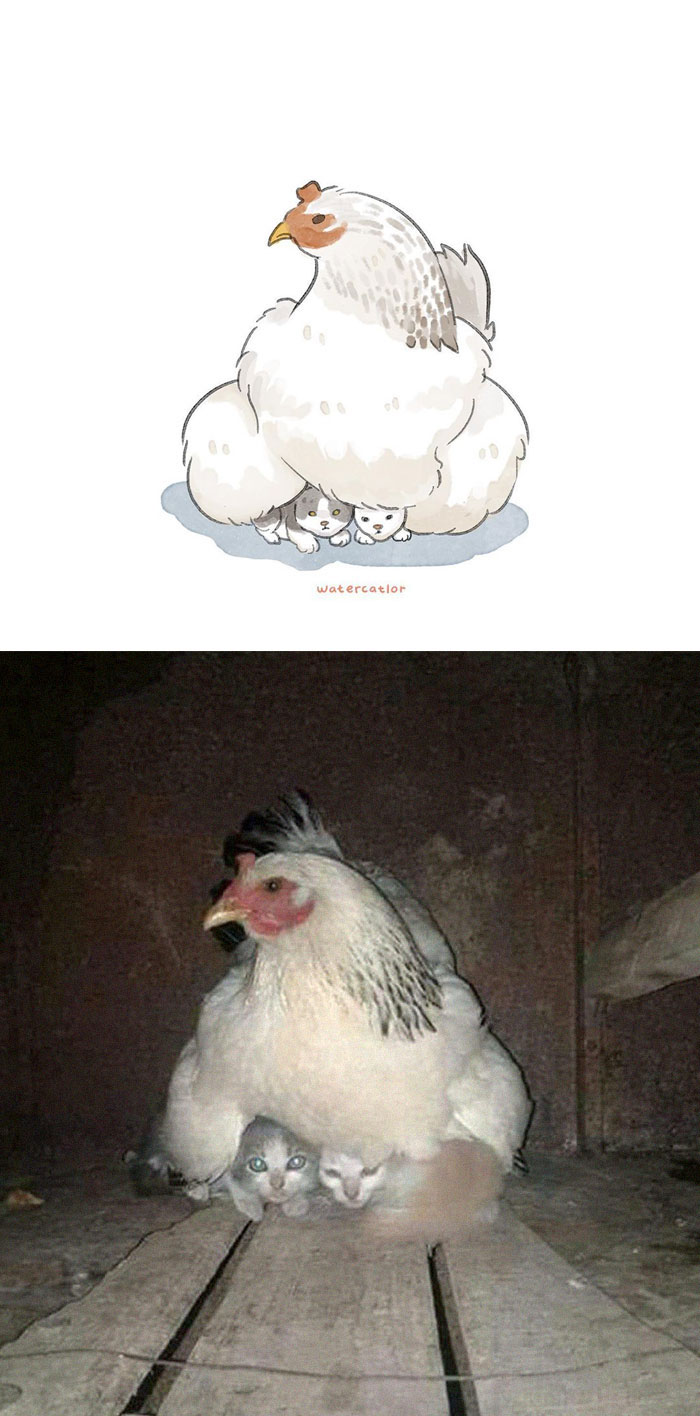 Digital-Watercolor-Cat-Paintings-Watercatlor