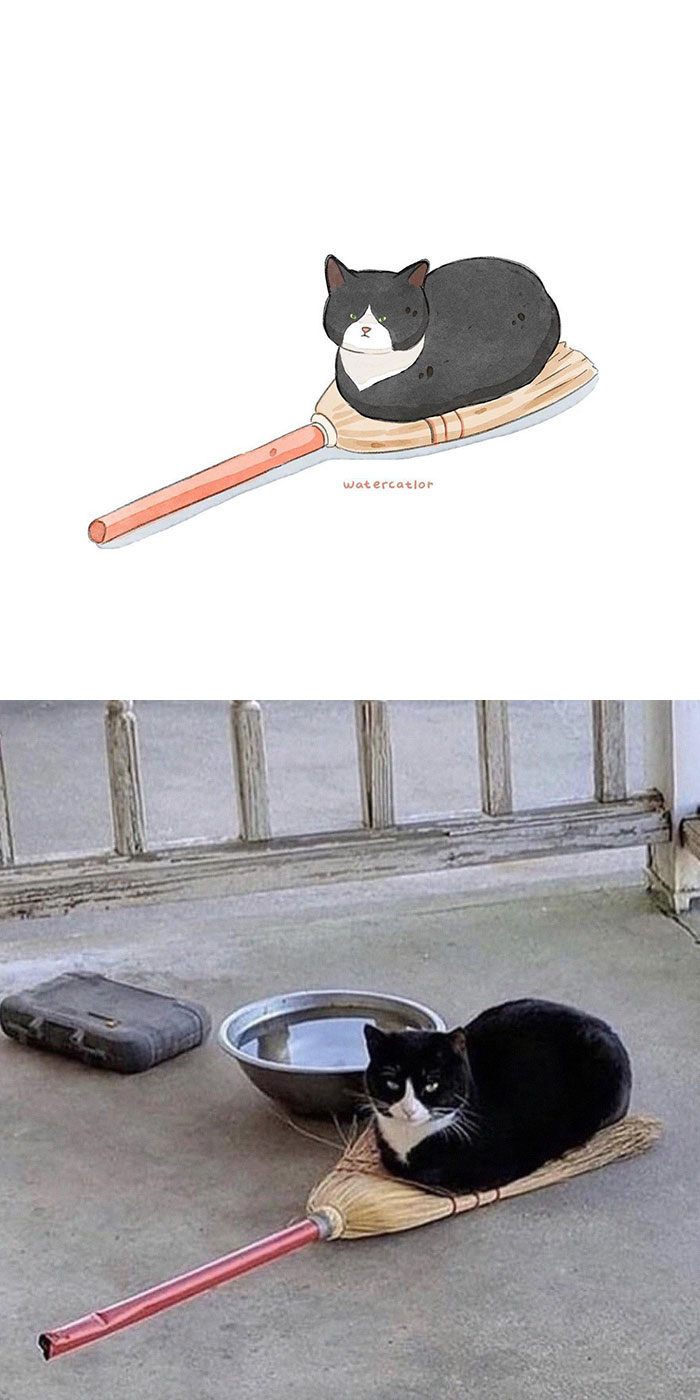 Digital-Watercolor-Cat-Paintings-Watercatlor