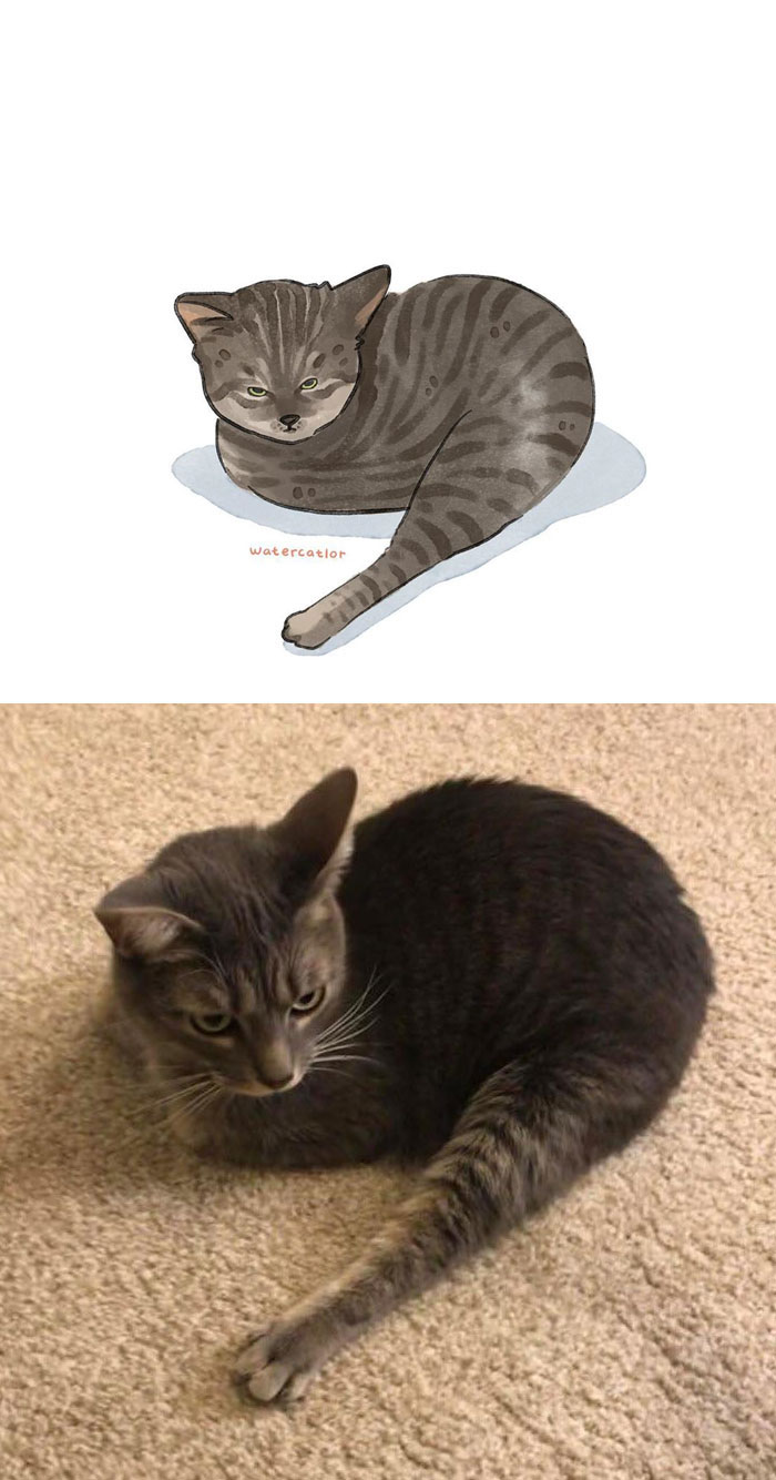 Digital-Watercolor-Cat-Paintings-Watercatlor